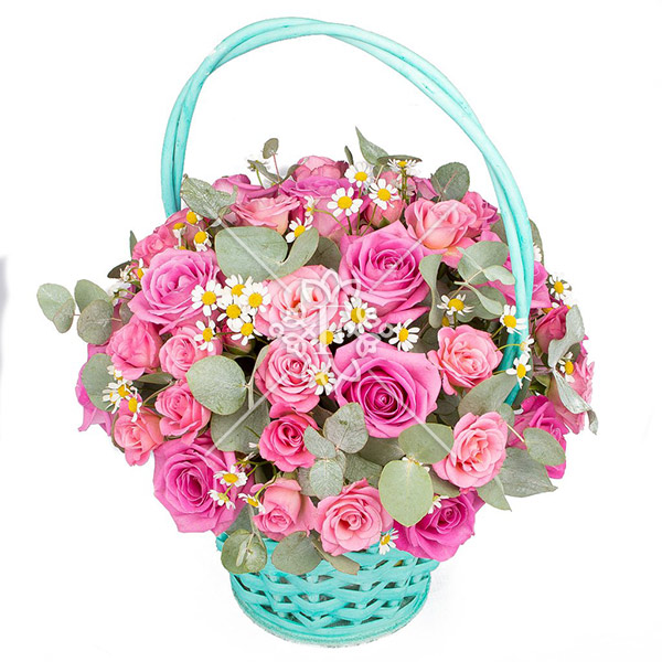 Прекрасная кокетка 